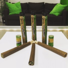 Cyclones Dank 7