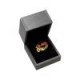 Raw Anillo Championship Double Cone Holder