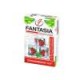 Tabaco Shisha Fantasia